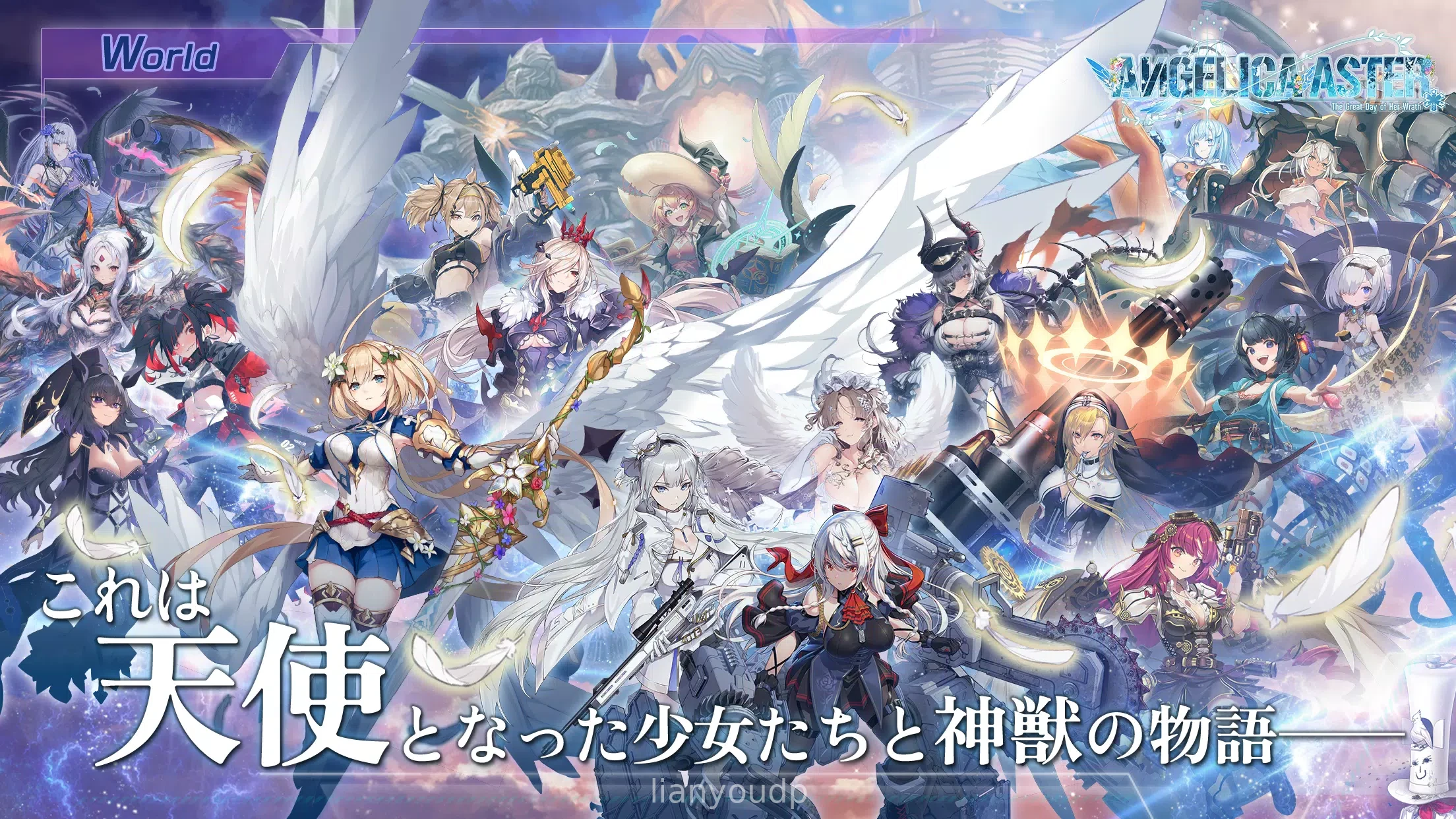 ANGELICA ASTER Screenshot 1