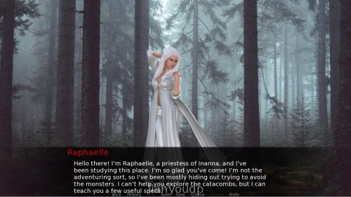 Damsels and Dungeons Screenshot 3