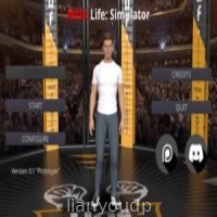 MMA Life Simulator