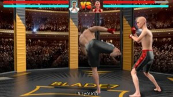 MMA Life Simulator Screenshot 1