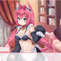 Neko Hiroi Masita