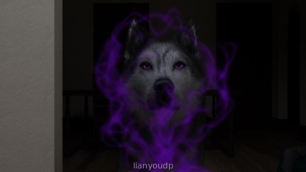 Dogmonic Screenshot 1