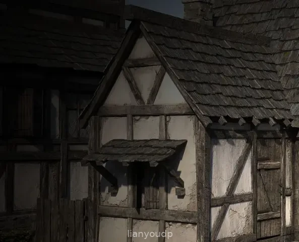 The Mercenary Screenshot 2